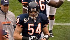 brian urlacher close to vikings deal [report]