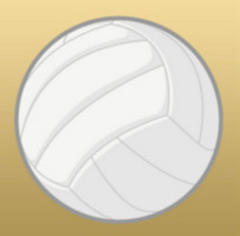 pat powers to help easley volleyballers develop their skills