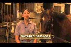 preakness 2013: at morven park’s party, horses provide therapy