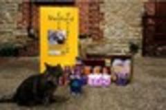 Tesco store hands back    charity collection box