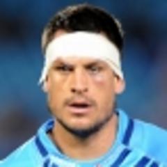 bulls aren't safe at all - spies